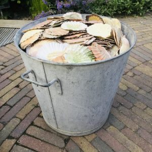 Zinken bak met schelpen