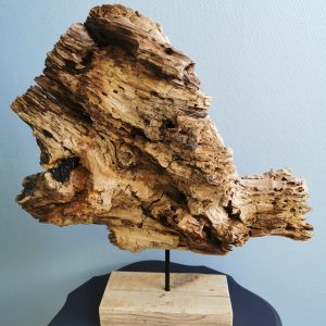 driftwood
