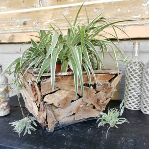 driftwood