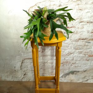 plantentafel
