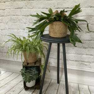 plantantafel