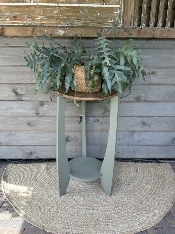 Plantentafel Acadia Pear (Amsterdamse school) - Afbeelding 3