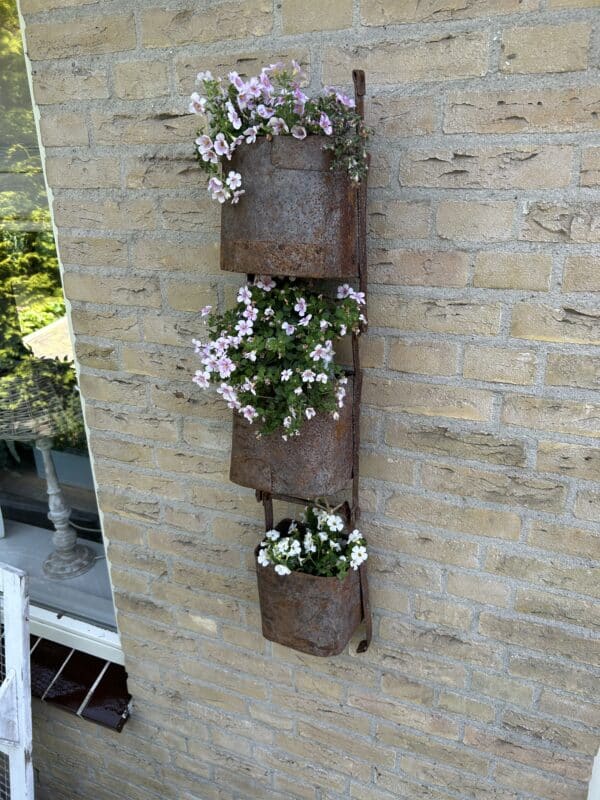 Oud ijzeren plantenhangers  *set van drie* - Afbeelding 2