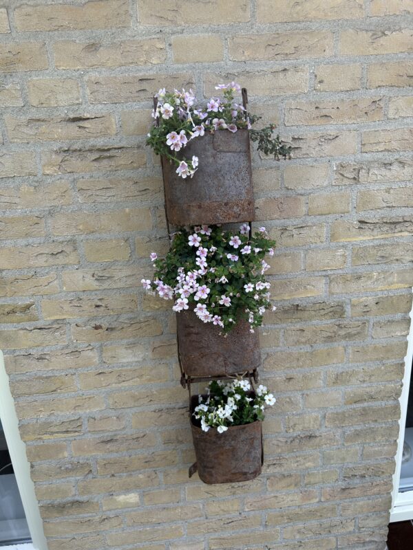 Oud ijzeren plantenhangers  *set van drie* - Afbeelding 4