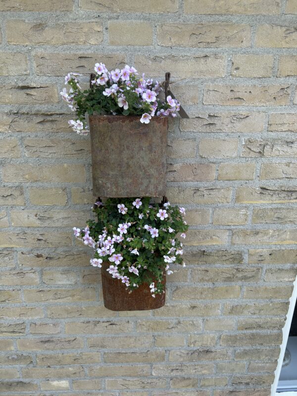 Oud ijzeren plantenhangers * set van twee* - Afbeelding 2