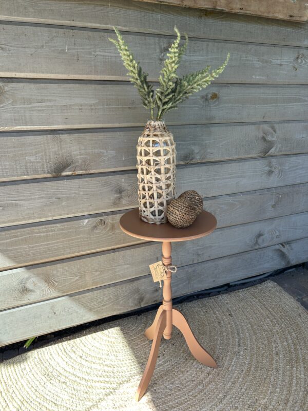 Plantentafel Chestnut Mare - Afbeelding 2
