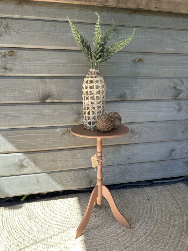 Plantentafel Chestnut Mare - Afbeelding 3