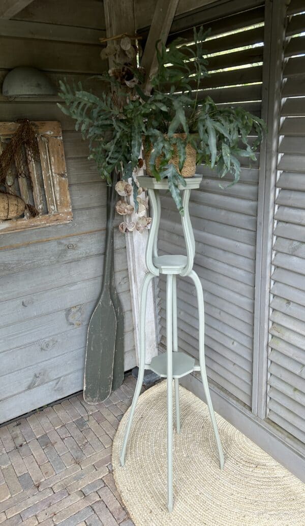 Plantentafel Lichen - Afbeelding 2