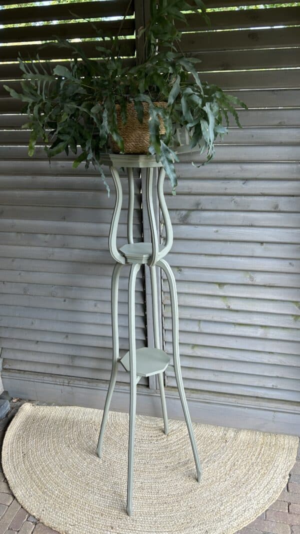 Plantentafel Lichen - Afbeelding 3