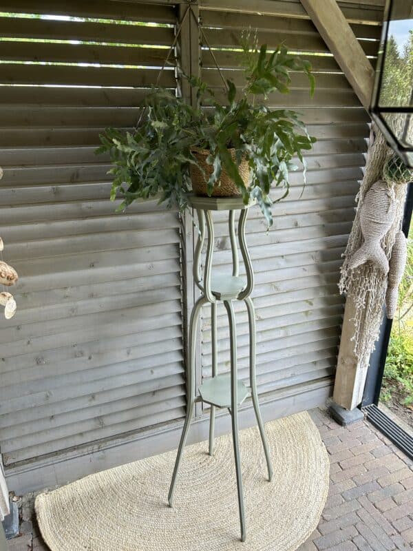 Plantentafel Lichen
