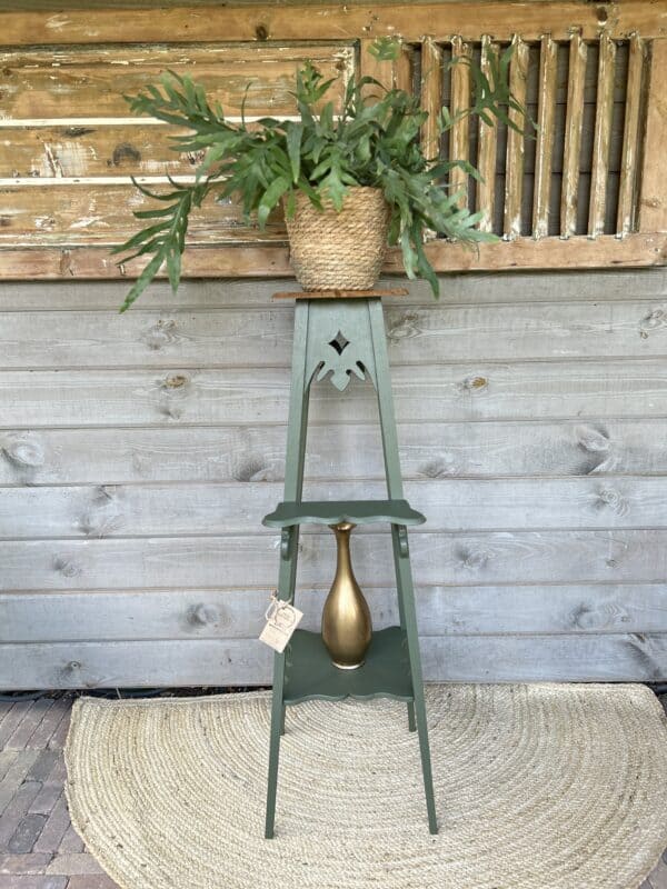 Plantentafel Bayberry - Afbeelding 7